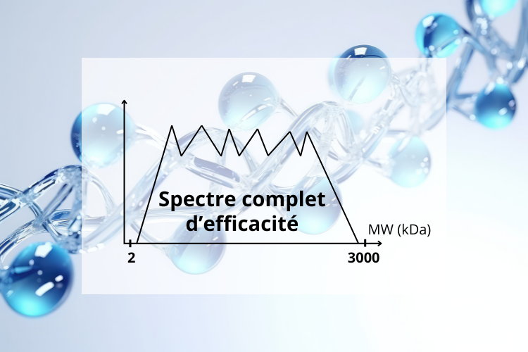 Acide hyaluronique exceptionHYAL star